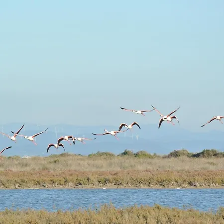 Casa L'angolo Fiorito بيت للعطل