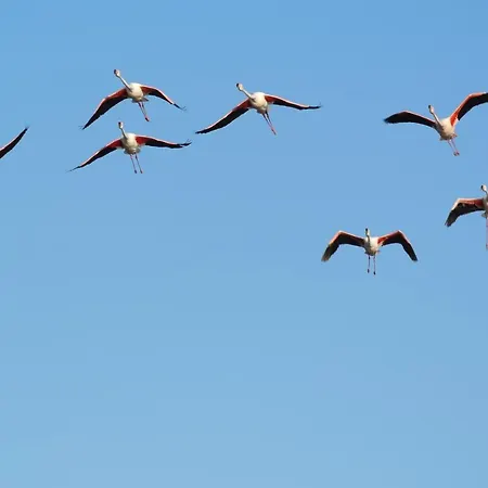 Casa L'angolo Fiorito