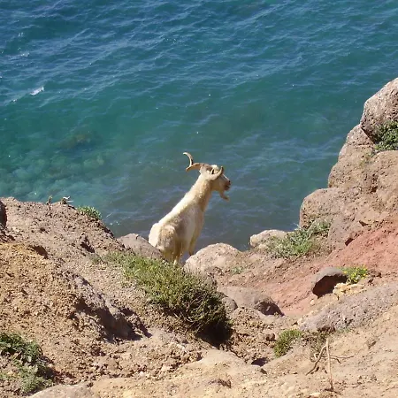 بيت للعطل Casa L'angolo Fiorito Càbras