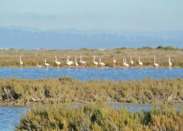 度假居 Casa L'angolo Fiorito